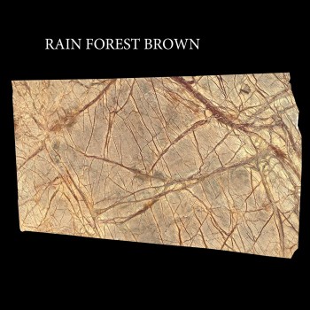 RAIN FOREST BROWN 